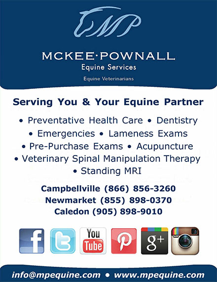 Mckee-Pownall Equine Services Equine Veterinarians